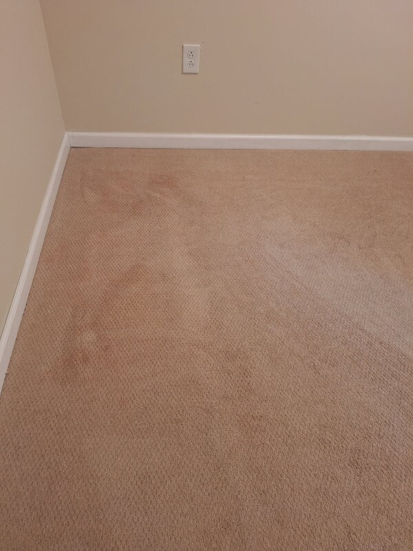 Building Photo - 4012 Bald Hill Terrace