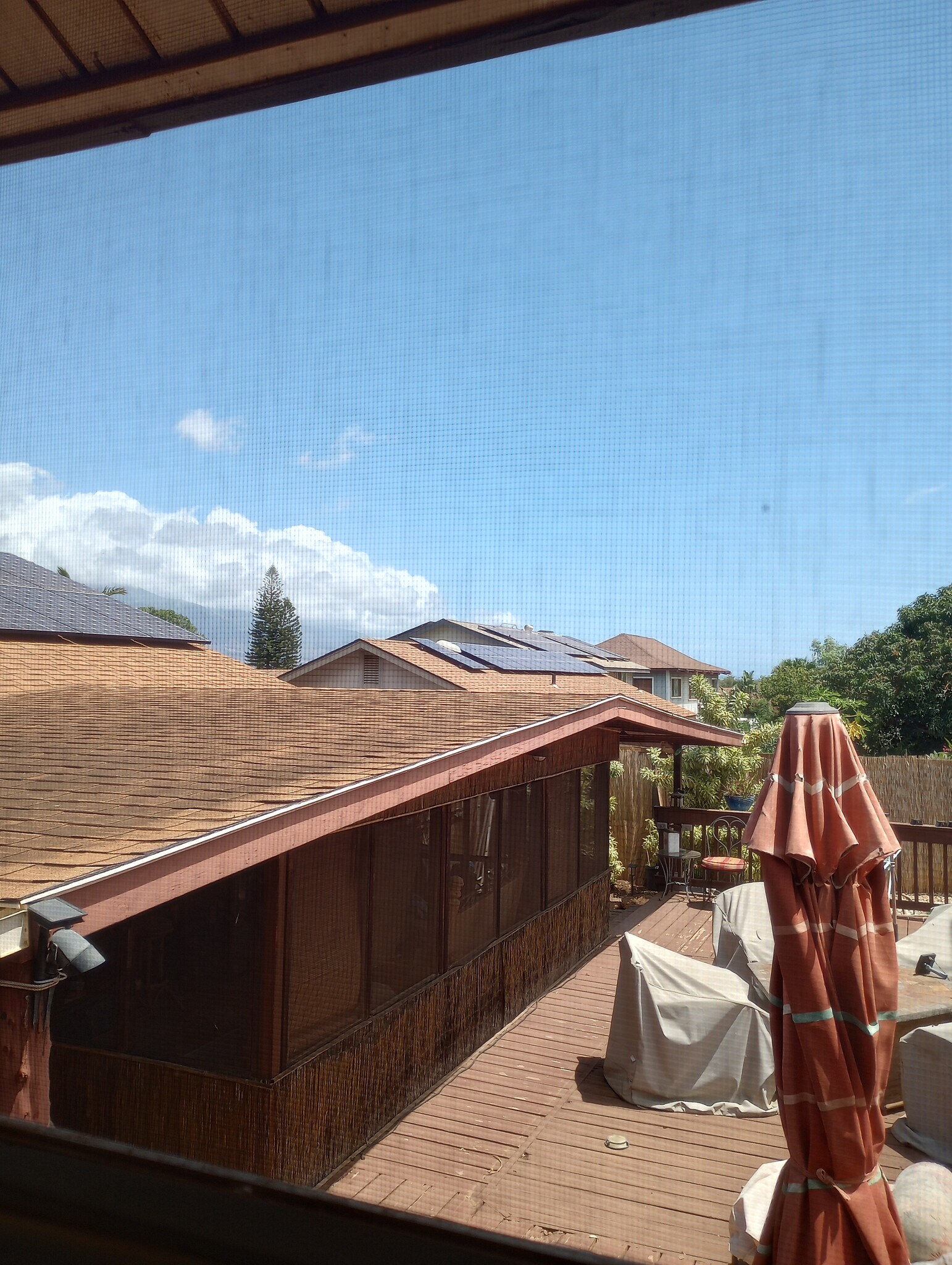 View from Upper Loft of backyard - 281 Kaikea St