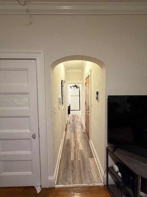 Building Photo - 67 Medway St