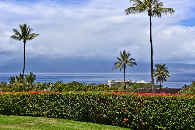 Building Photo - 50 Puu Anoano St