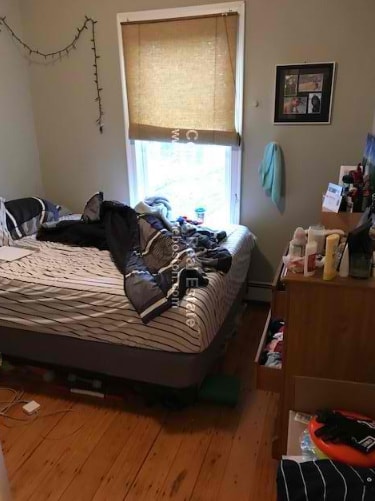 Building Photo - 1293 Cambridge St