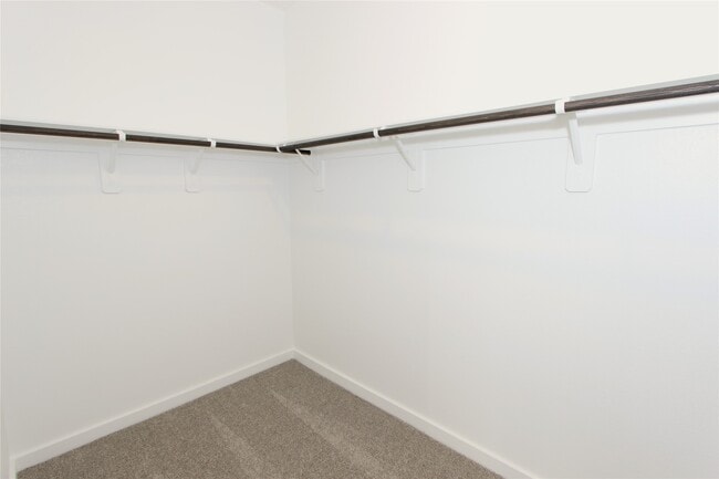 Building Photo - 2619 Good Morrow Dr