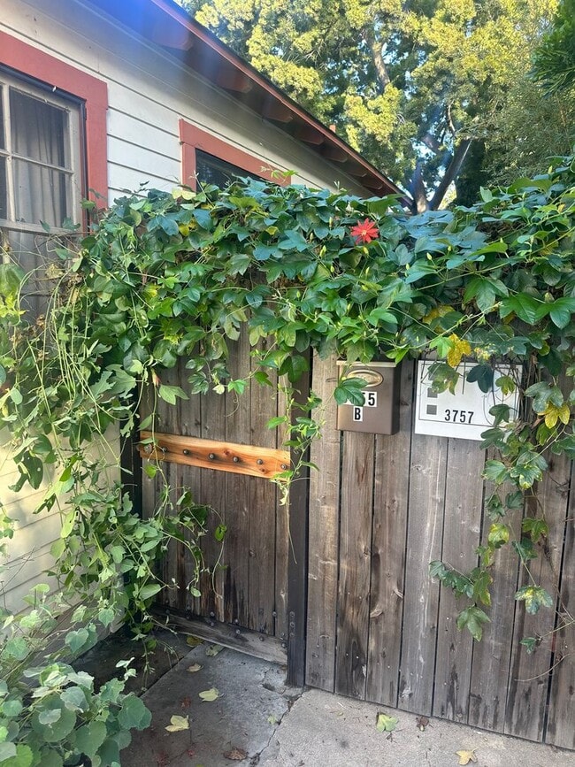 Building Photo - Charming 3 Bedroom 2 bathroom back house in the heart of San Diego's most desirable neighborhoods!