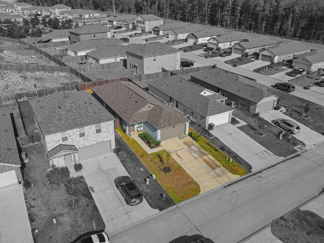 Building Photo - Move-in ready 4-bedroom, 2-bath home in Meadow Park!