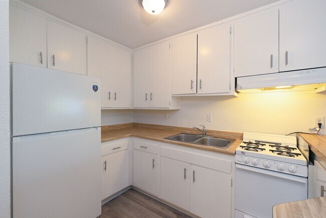 Building Photo - 145 Camarillo- LT