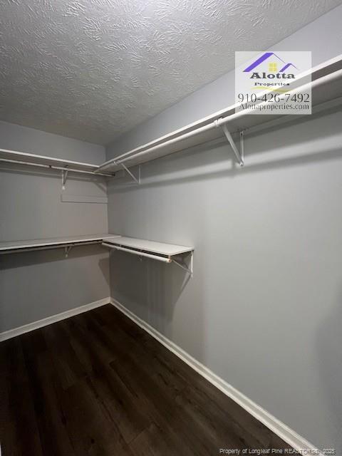 Building Photo - 1283 Exeter Ln