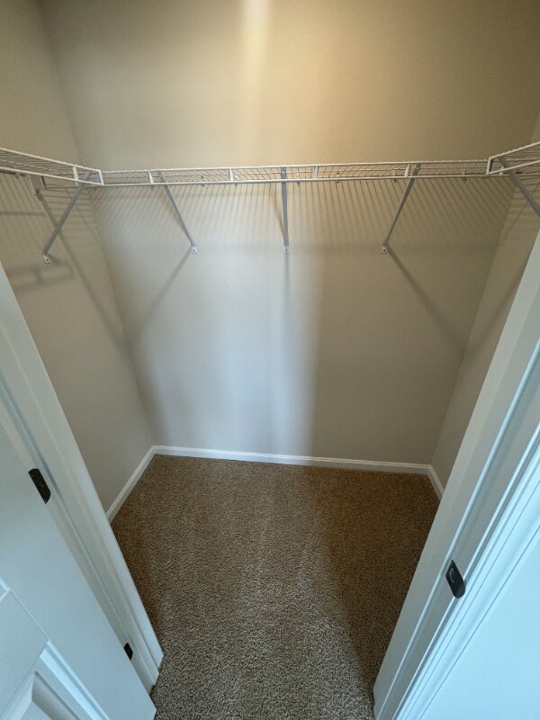 Building Photo - 113 Ridgley Blvd