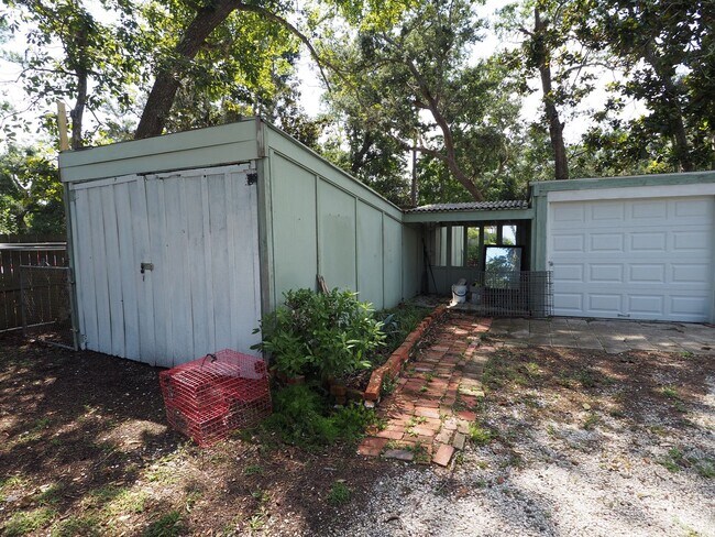 Building Photo - Dolphin watching from your own private beach!