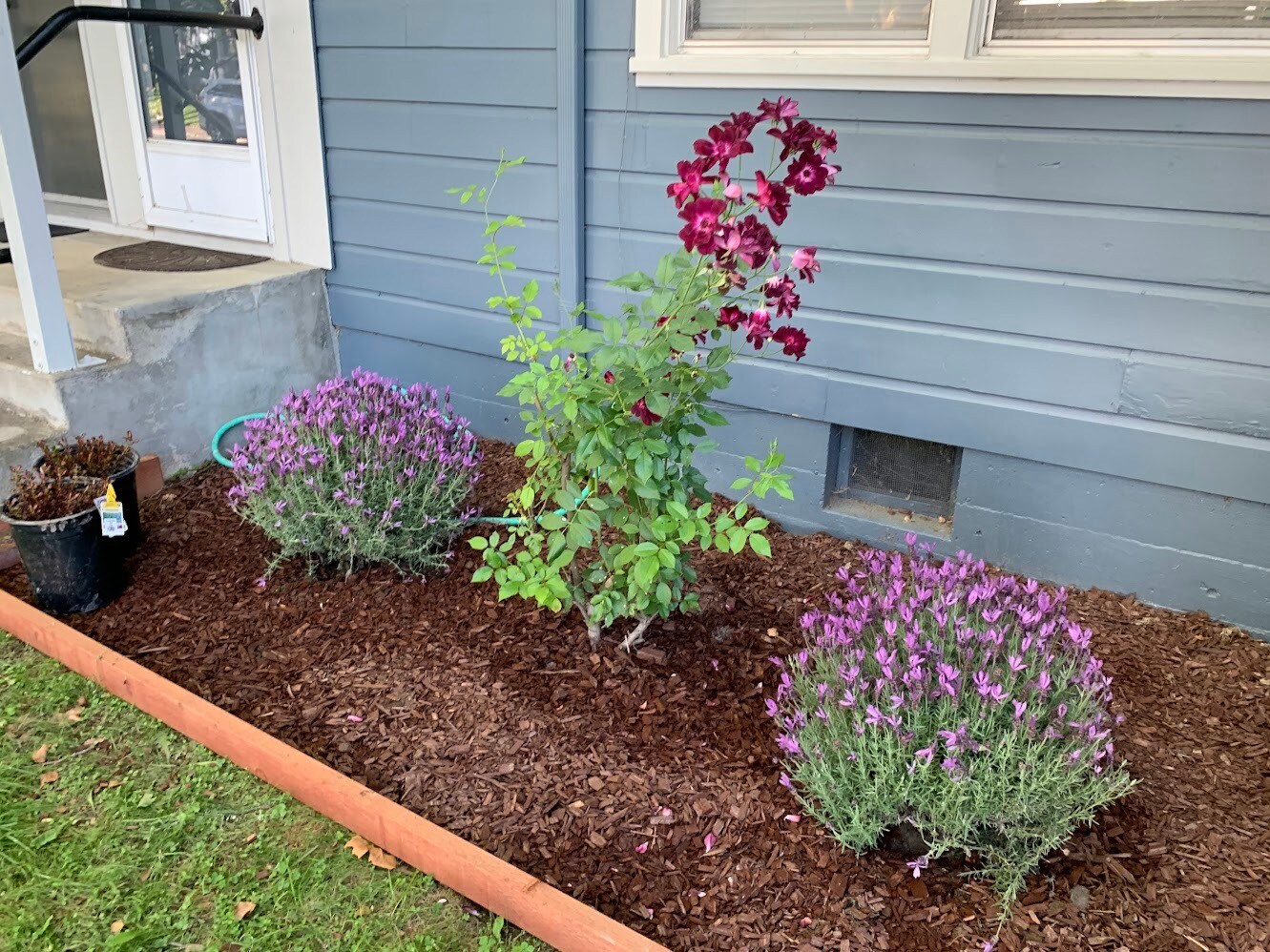 Building Photo - 97 Martin Dr