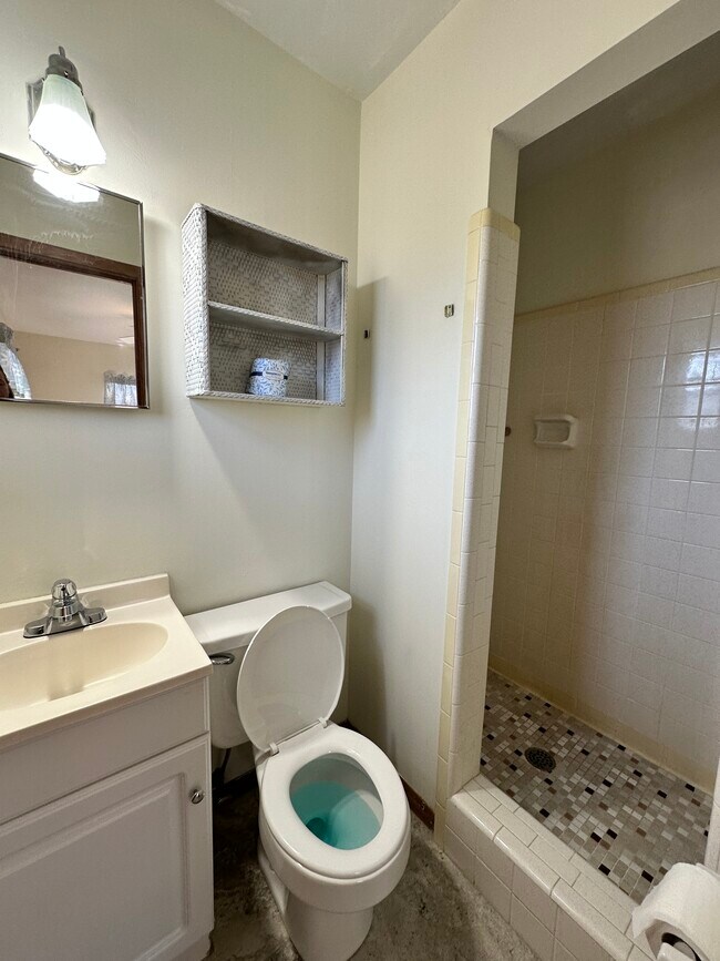 Building Photo - 241 Belaire Dr