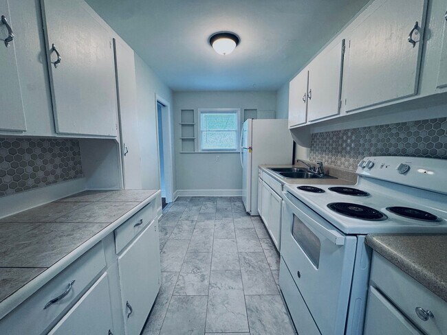 Building Photo - Central AVL - 1/1 Updated Apartment Ready Now!