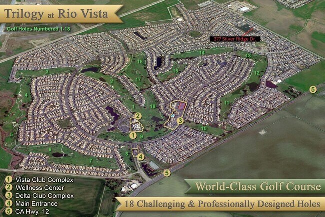 Building Photo - 377 Silver Ridge Dr