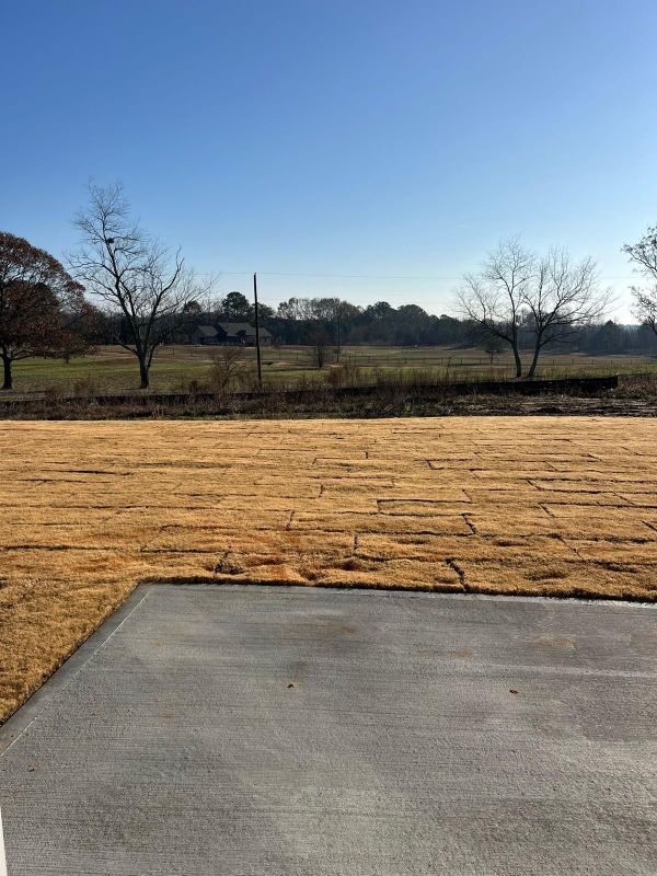 Building Photo - 166 Lake Meadows Dr