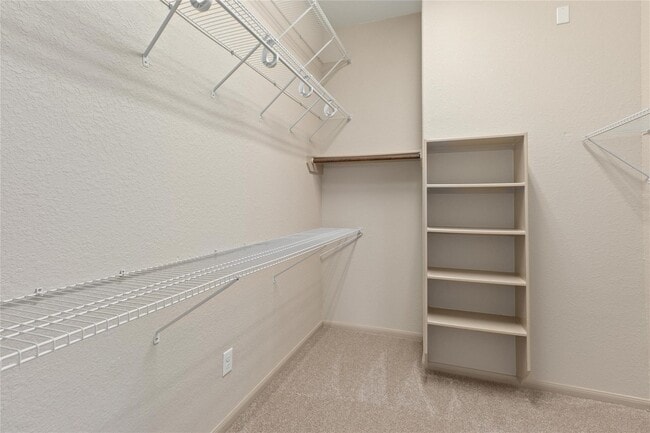 Building Photo - 2886 Aurelia Ln