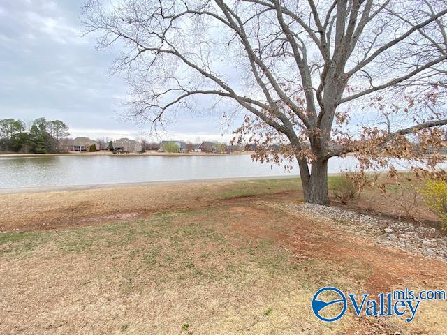 Building Photo - 275 Old Overton Dr