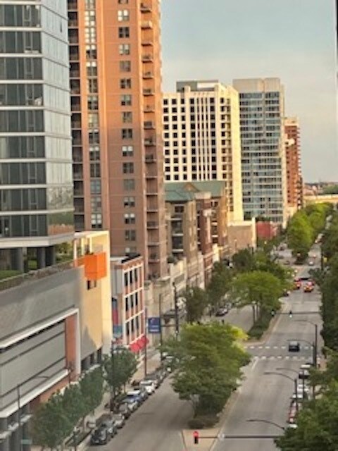 Building Photo - 801 S Plymouth Ct