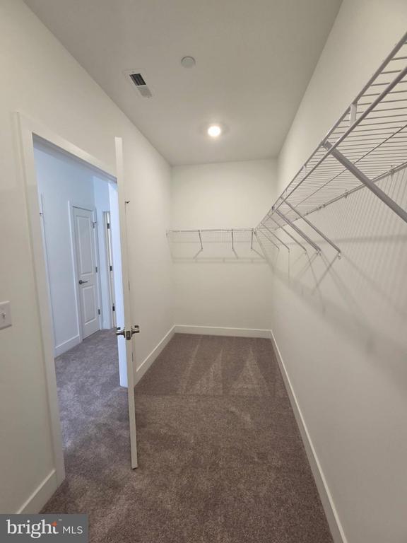 Building Photo - 29212 Radford Ct