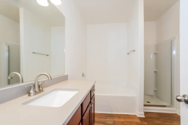 Building Photo - 2003 Lost Pine Ct