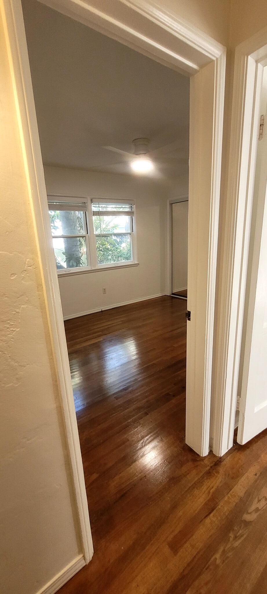 Building Photo - 4313 Mentone St