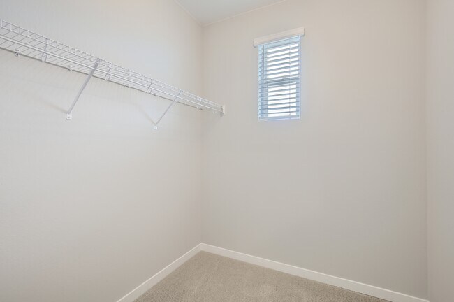 Building Photo - 743 Pokeweed Ln
