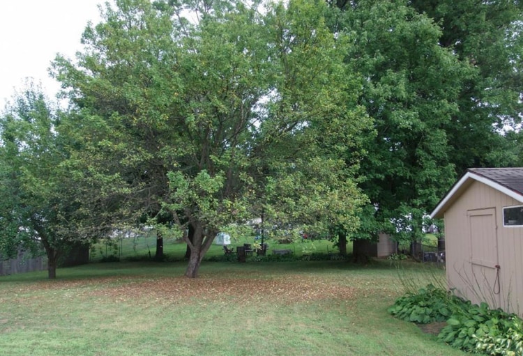 Building Photo - 50 Beechnut Terrace