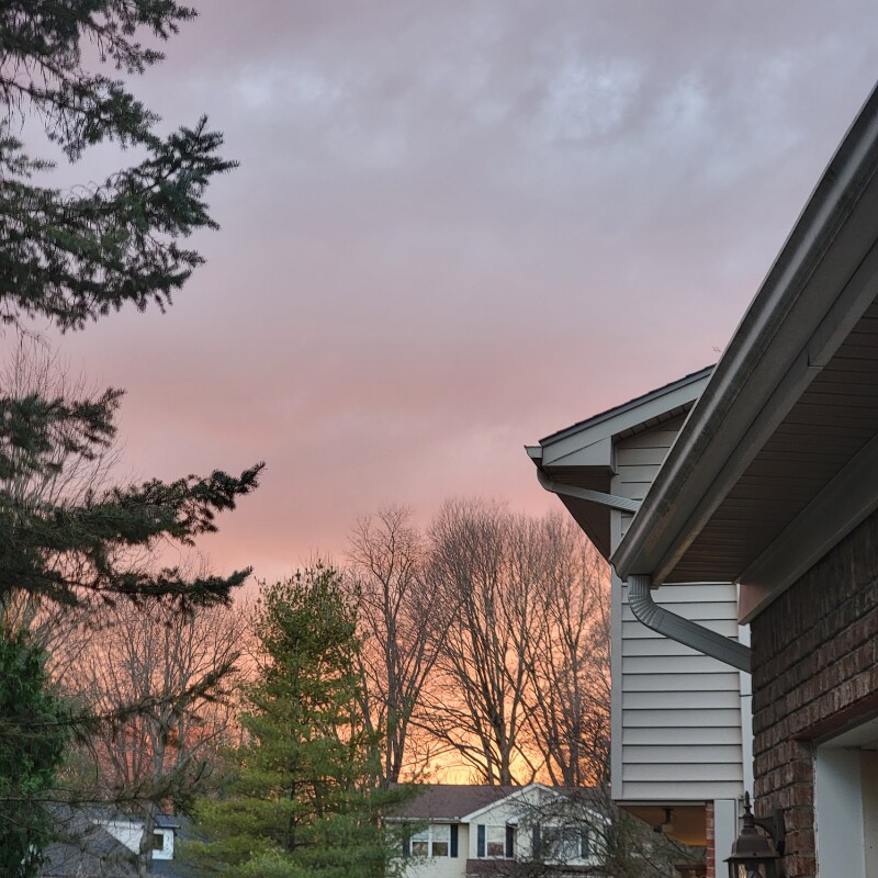 Building Photo - 4410 Pine Brook Ct