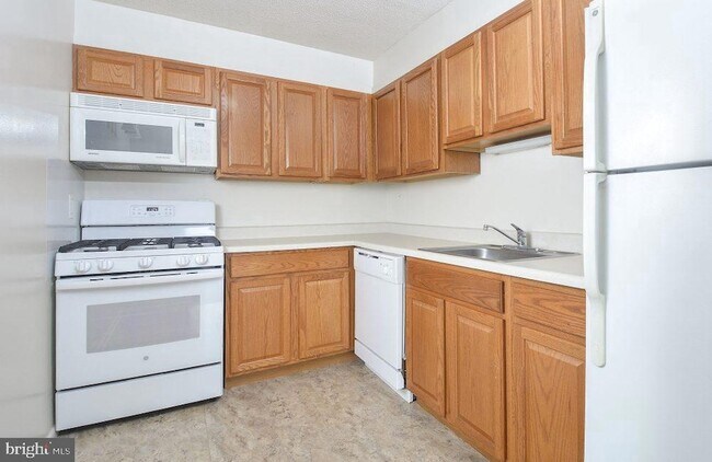Primary Photo - 515 W Chelten Ave