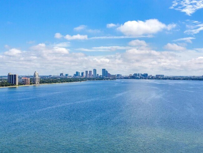 Building Photo - 3507 Bayshore Blvd