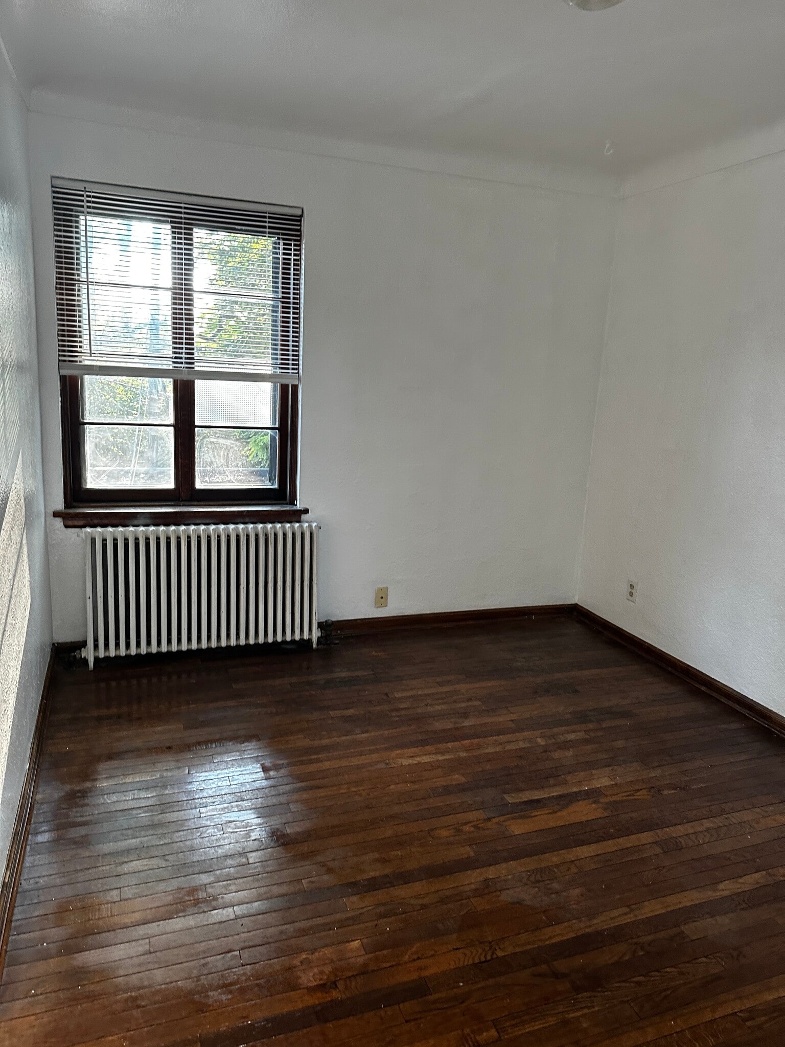 Building Photo - 708 W Bancroft St