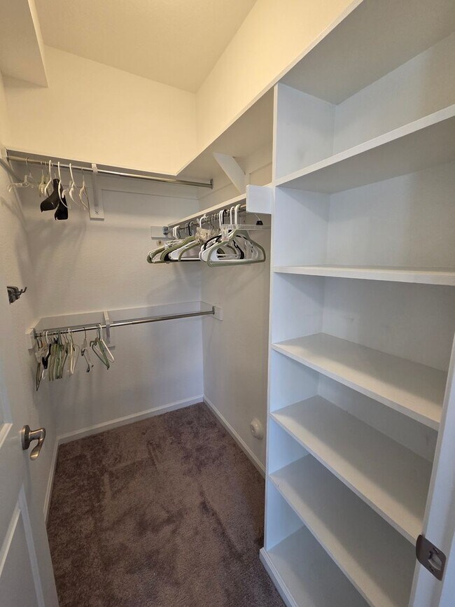 Building Photo - WOODLANDS AT WESTERN BRANCH