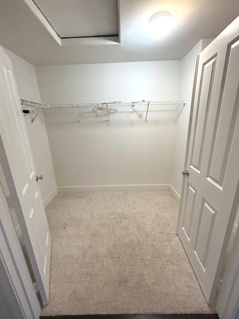 Building Photo - 1043 Saltbush Ln