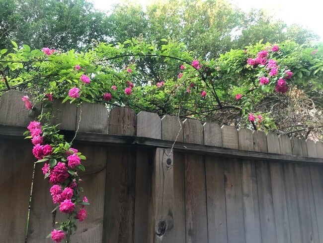 Building Photo - 1601 S Shepherd Dr