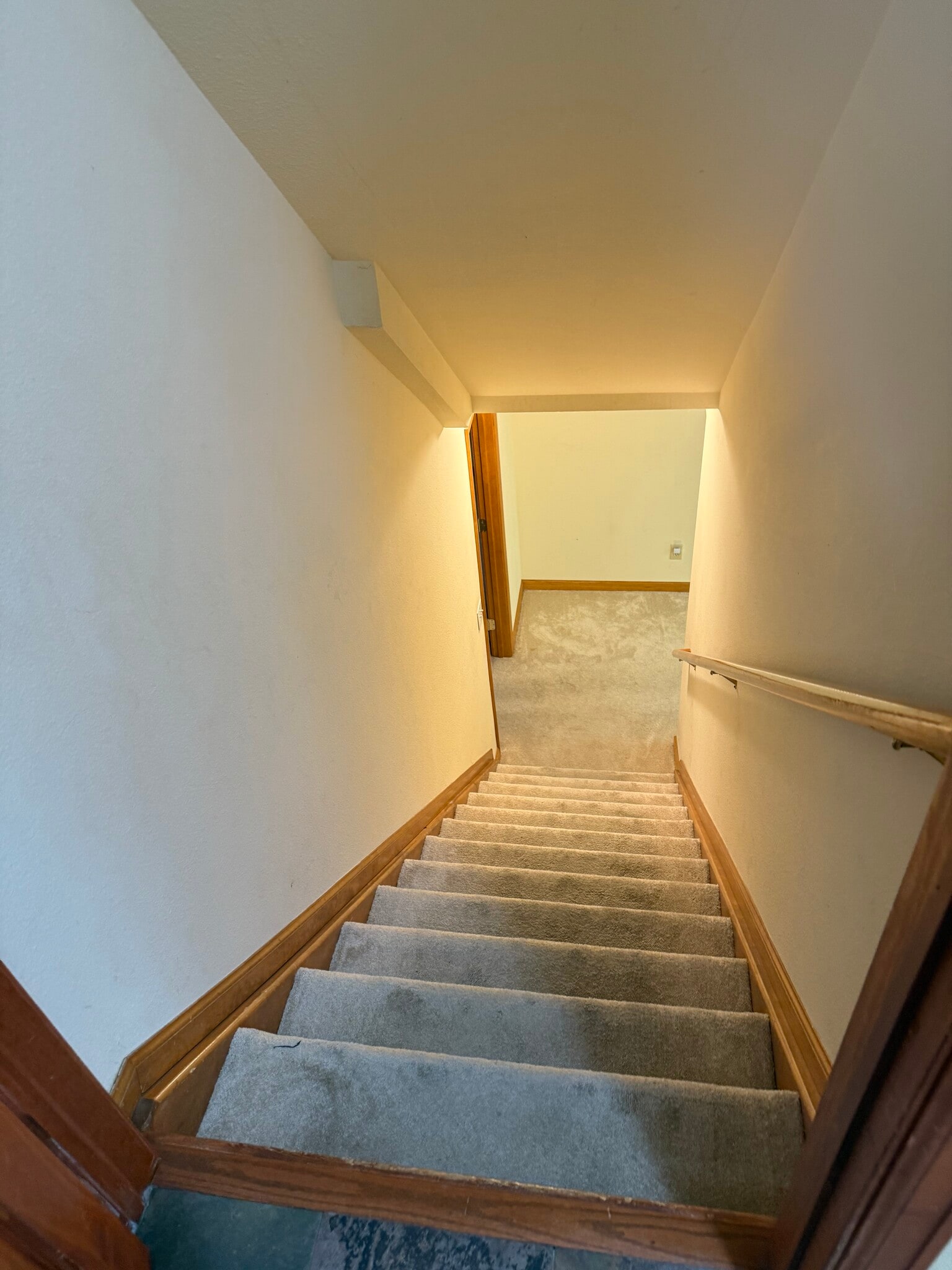 To Basement - 11717 Chase Ct