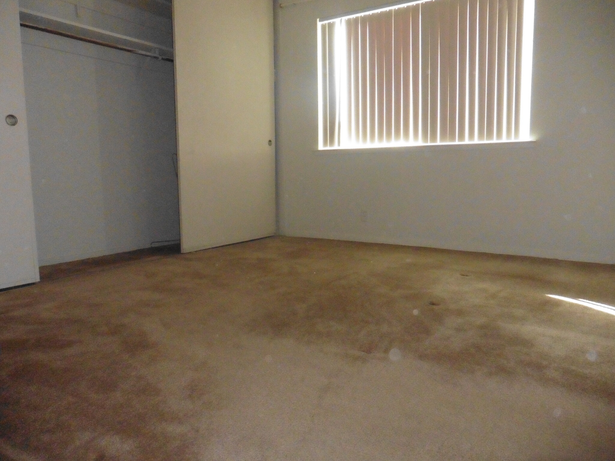 Building Photo - 141 Towne Terrace