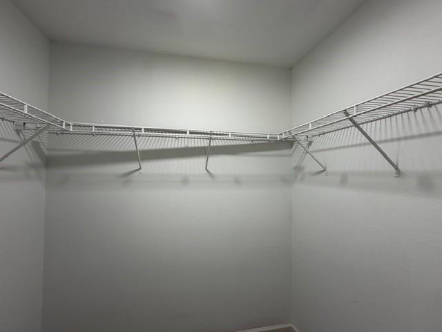 Building Photo - 3359 Loblolly Dr