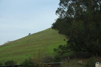 Building Photo - Country Property~West Petaluma~Keep horses...