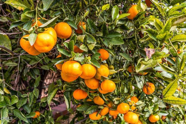 Building Photo - 7686 Eisenhower St