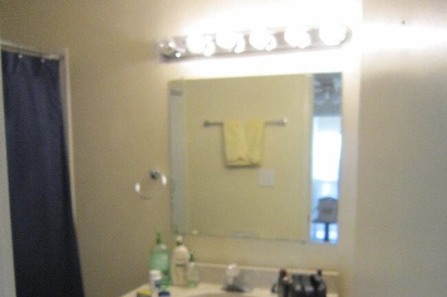 Bathroom 2 - 1100 Woodland St
