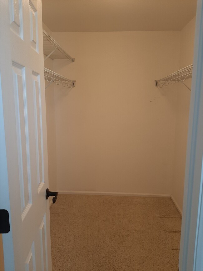 master walk in closet - 14219 Woodrock Path