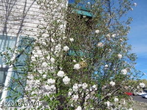 Building Photo - 5408 AZ-260
