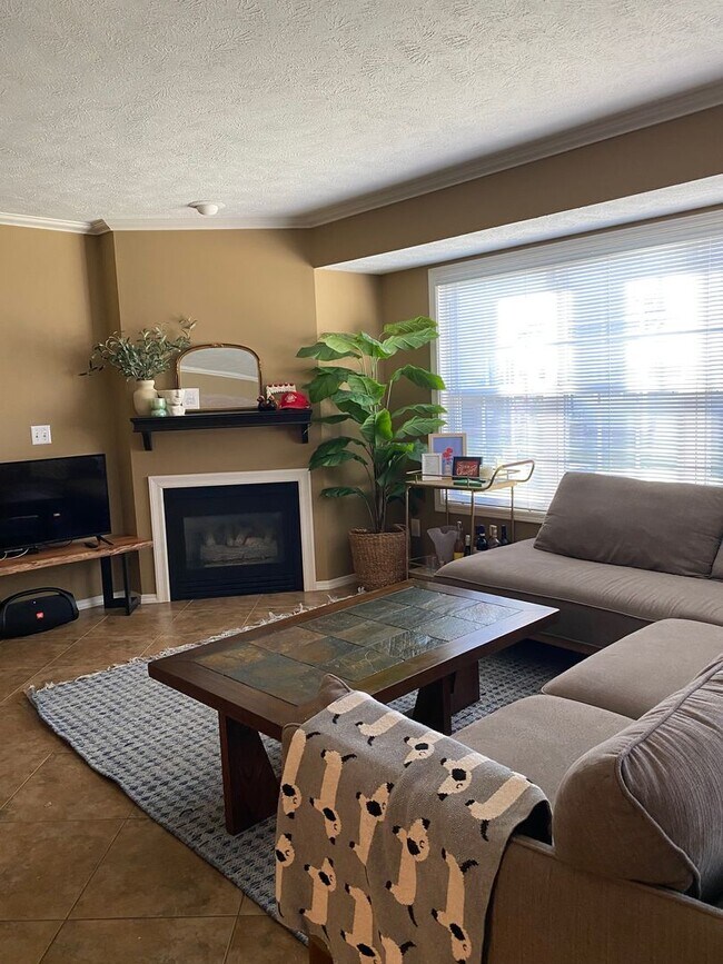 Building Photo - Great 2 BR 4 bathroom townhouse in Bloomin...