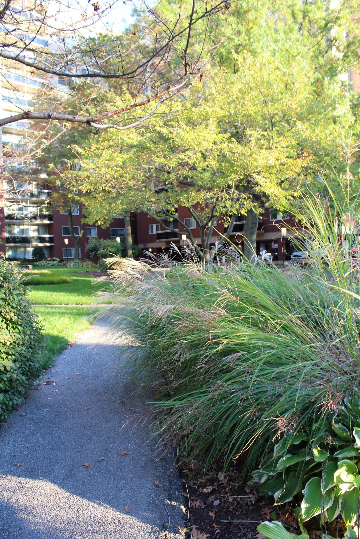 Front garden path leading to main entrance - 7333 New Hampshire Ave