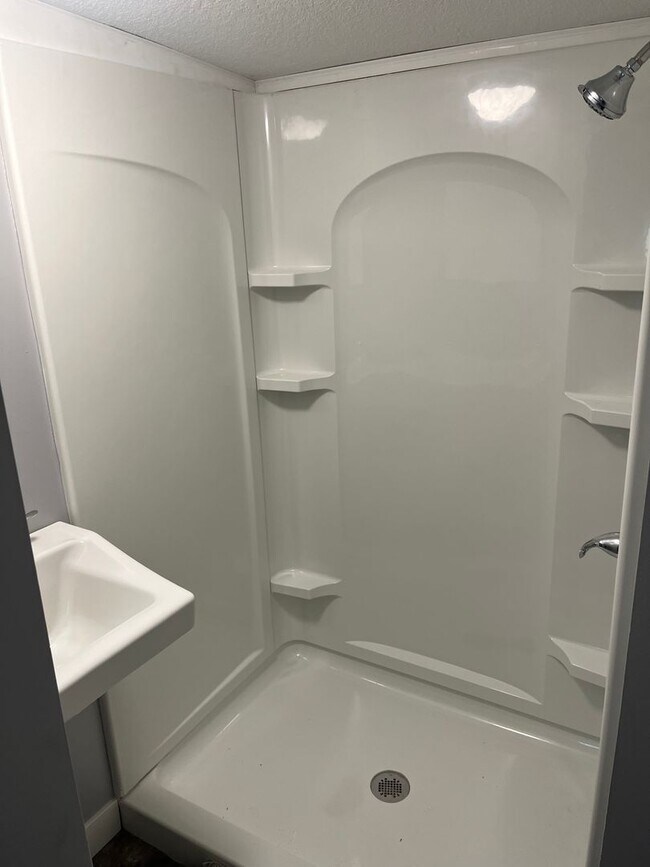 Building Photo - Spacious updated 4 bed 2 bath home in the heart of Rock Island!