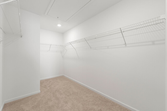 Building Photo - 714 Rhone St