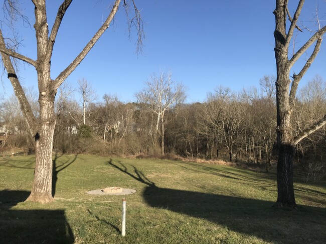 Backyard - 723 Mercer Dr