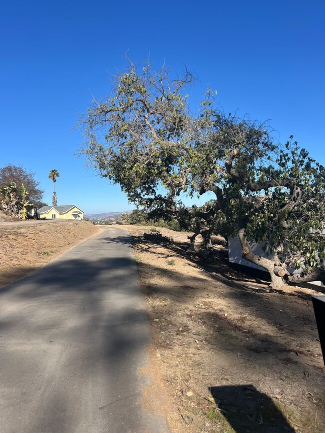 Building Photo - LOMITA ROAD Duplex