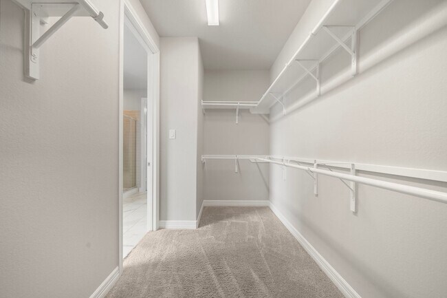 Building Photo - 27130 Spanish Wind Ct