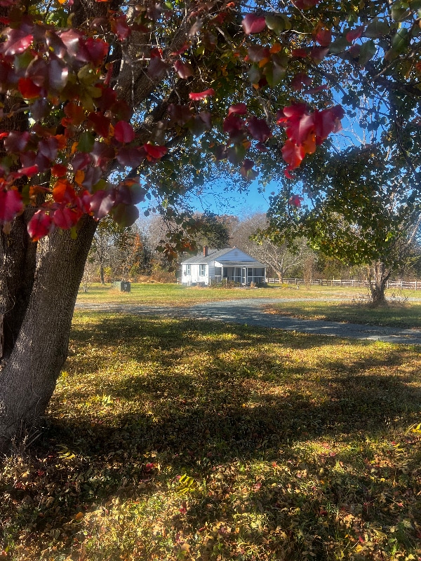 Building Photo - 268 E Green Springs Rd