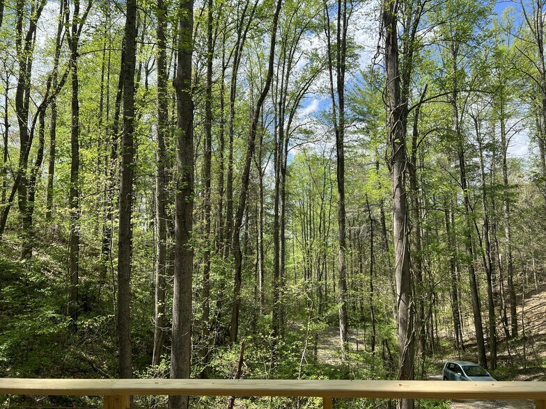 View from deck - 52 Crest Circle Dr