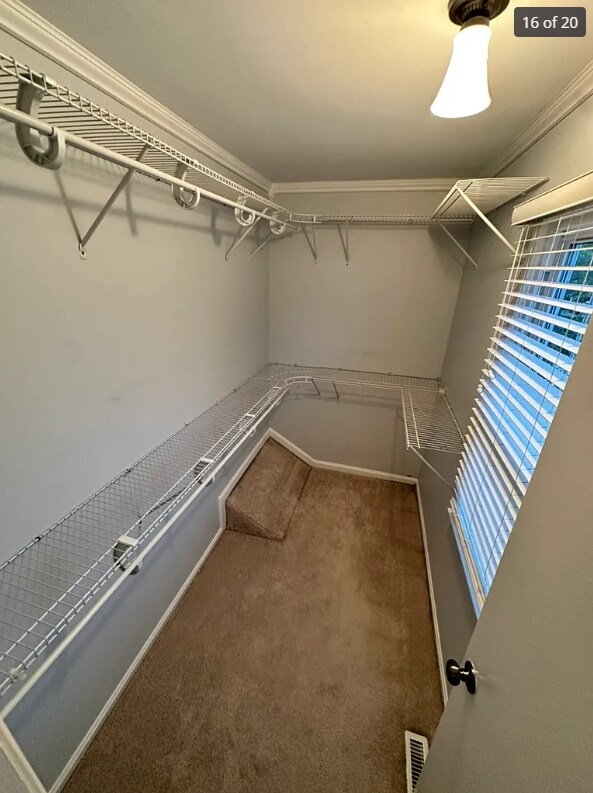 Building Photo - 1512 Skirmish Run Dr